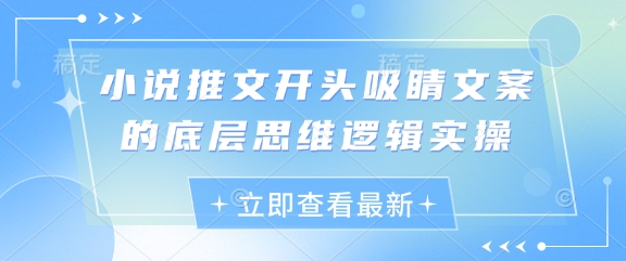 小说推文开头吸睛文案的底层思维逻辑实操插图 小说推文开头吸睛文案的底层思维逻辑实操