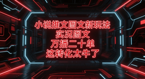 小说推文图文新玩法,实况图文,万播二十单,这转化太牛了!插图 小说推文图文新玩法,实况图文,万播二十单,这转化太牛了!
