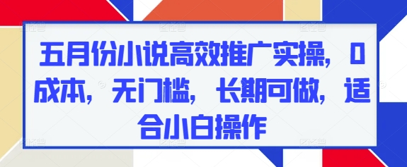 五月份小说高效推广实操,0成本,无门槛,长期可做,适合小白操作插图 五月份小说高效推广实操,0成本,无门槛,长期可做,适合小白操作