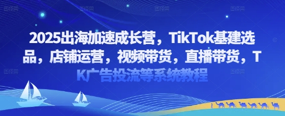 2025出海加速成长营,TikTok基建选品,店铺运营,视频带货,直播带货,TK广告投流等系统教程插图 2025出海加速成长营,TikTok基建选品,店铺运营,视频带货,直播带货,TK广告投流等系统教程