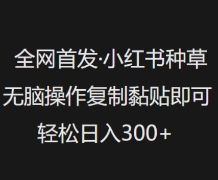 全网首发,小红书种草无脑操作,复制黏贴即可,轻松日入3张插图 全网首发,小红书种草无脑操作,复制黏贴即可,轻松日入3张