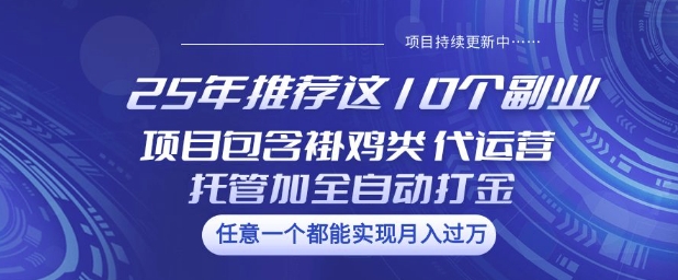 25年推荐这10个副业项目包含褂鸡类、代运营托管类、全自动打金类【揭秘】插图 25年推荐这10个副业项目包含褂鸡类、代运营托管类、全自动打金类【揭秘】