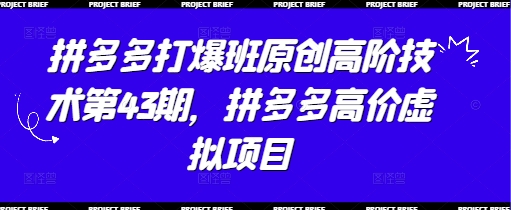 拼多多打爆班原创高阶技术第43期,拼多多高价虚拟项目插图 拼多多打爆班原创高阶技术第43期,拼多多高价虚拟项目