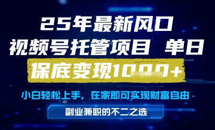 25年最新风口,视频号托管项目,单日保底变现1k+,手把手教学【揭秘】插图 25年最新风口,视频号托管项目,单日保底变现1k+,手把手教学【揭秘】