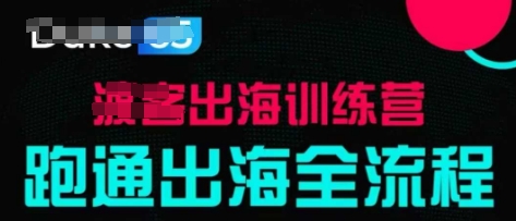 出海训练营基础课,跑通出海全流程,实战案例拆解插图 出海训练营基础课,跑通出海全流程,实战案例拆解