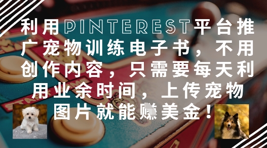 利用Pinterest平台推广宠物训练电子书,不用创作内容,只需要每天利用业余时间,上传宠物图片就能挣美金!插图 利用Pinterest平台推广宠物训练电子书,不用创作内容,只需要每天利用业余时间,上传宠物图片就能挣美金!
