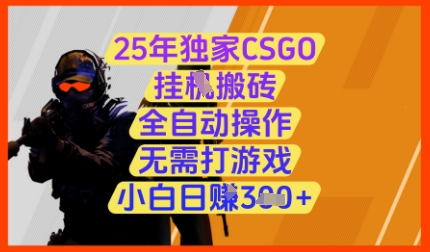 25年独家CSGO挂G搬砖,全自动操作,无需打游戏,小白日入3张+【揭秘】插图 25年独家CSGO挂G搬砖,全自动操作,无需打游戏,小白日入3张+【揭秘】