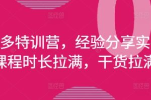 拼多多特训营，经验分享实操，课程时长拉满，干货拉满(更新25年4月)