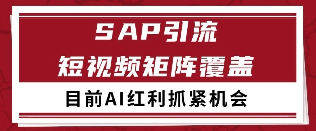小红书某音sap赛道引流获客 自热矩阵日引200+【揭秘】插图 小红书某音sap赛道引流获客 自热矩阵日引200+【揭秘】