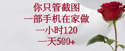 你只管截图,一部手机在家可以做,一小时120.一天5张+【揭秘】插图 你只管截图,一部手机在家可以做,一小时120.一天5张+【揭秘】