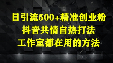 日引流500+精准创业粉,抖音共情自热打法,工作室都在用的方法插图 日引流500+精准创业粉,抖音共情自热打法,工作室都在用的方法