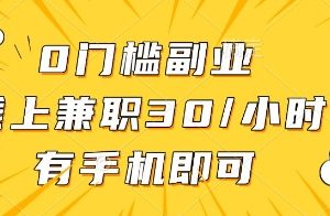 0门槛副业，线上兼职30一小时，有手机即可【揭秘】