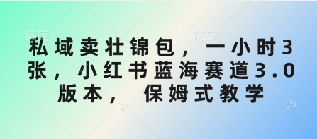 私域卖壮锦包,一小时3张,小红书蓝海赛道3.0版本, 保姆式教学插图 私域卖壮锦包,一小时3张,小红书蓝海赛道3.0版本, 保姆式教学