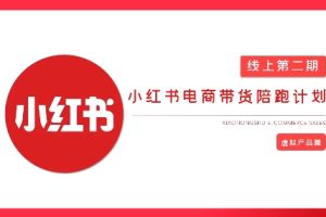 2025小红书虚拟电商实战课，从0到1打造无货源店铺，AI+爆款笔记轻松变现