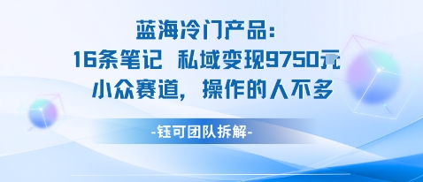 蓝海项目:16条笔记私域变现9750米小众赛道操作的人不多插图 蓝海项目:16条笔记私域变现9750米小众赛道操作的人不多