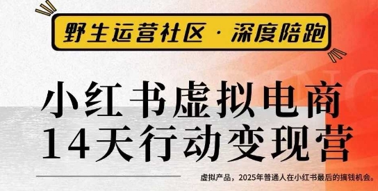 小红书虚拟电商14天变现训练营3.0,虚拟产品,2025年普通人在小红书最后的搞钱机会插图 小红书虚拟电商14天变现训练营3.0,虚拟产品,2025年普通人在小红书最后的搞钱机会