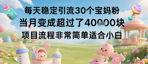 每天稳定引流30个宝妈粉当月变成超过了1W+项目流程非常简单适合小白插图 每天稳定引流30个宝妈粉当月变成超过了1W+项目流程非常简单适合小白