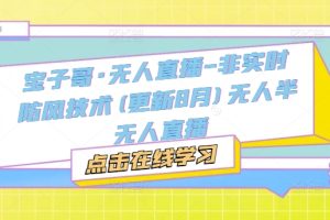 宝子哥·无人直播-非实时防风技术(更新25年10月)无人半无人直播