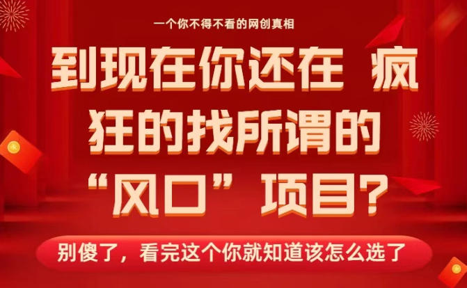 马上26年了,你还在找所谓的风口项目?别傻了,看完这个你全都懂了!【揭秘】插图 马上26年了,你还在找所谓的风口项目?别傻了,看完这个你全都懂了!【揭秘】