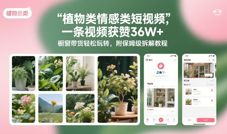 植物类情感类短视频,一条视频获赞36W+,橱窗带货轻松玩转,附保姆级拆解教程插图 植物类情感类短视频,一条视频获赞36W+,橱窗带货轻松玩转,附保姆级拆解教程