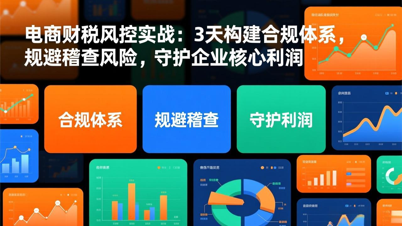 电商财税风控实战：3天构建合规体系，规避稽查风险，守护企业核心利润插图