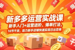 拼多多运营实战课,新手入门+运营进阶、爆单打法,16节干货,助力新手店铺快速实现日出百单