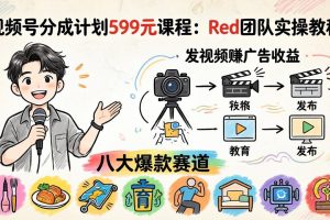 视频号分成计划：Red团队实操教程，发视频赚广告收益，八大爆款赛道全掌握