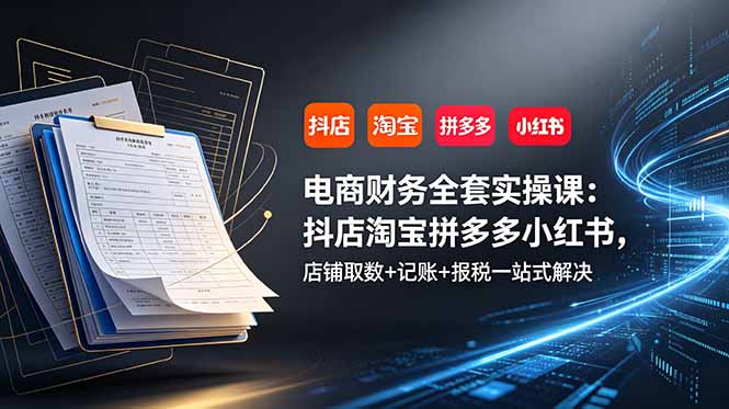 电商财务全套实操课：抖店淘宝拼多多小红书，店铺取数+记账+报税一站式解决插图