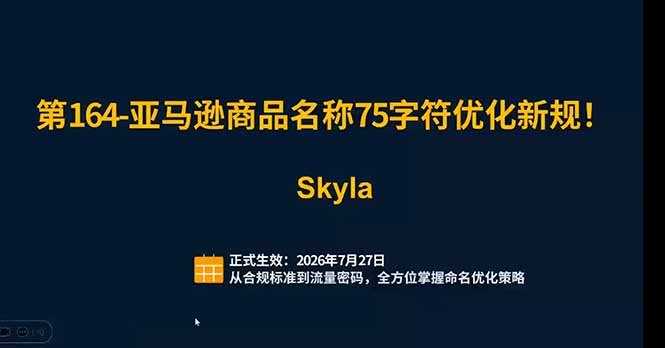 亚马逊跨境实战课：全品类选品逻辑｜SP/SB/SD广告精细化｜新品打爆旺季爆单全套运营教程插图1